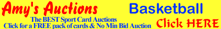 Click HERE for Amy's Auctions